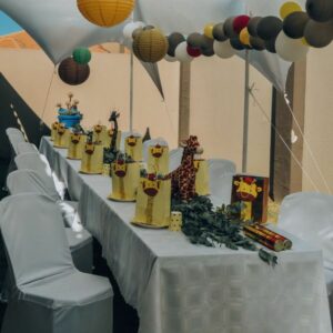 Chair Covers