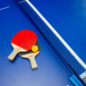Table Tennis Table